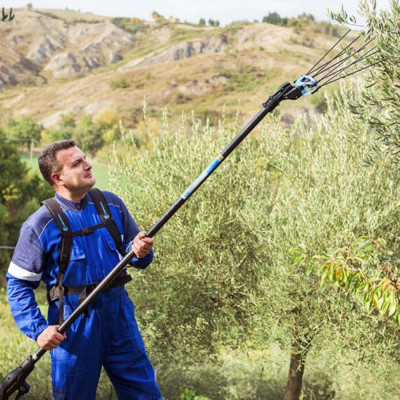 Abbacchiatore Campagnola Icarus 58V con asta telescopica