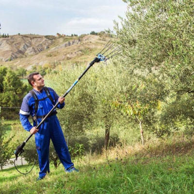 Abbacchiatore Campagnola Icarus 58V con asta telescopica