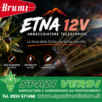 Raccolta olive con Abbacchiatore telescopico Brumi Etna 12V